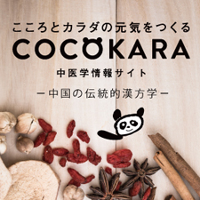 ȥθĤ롡COCOKARA ؾ󥵥